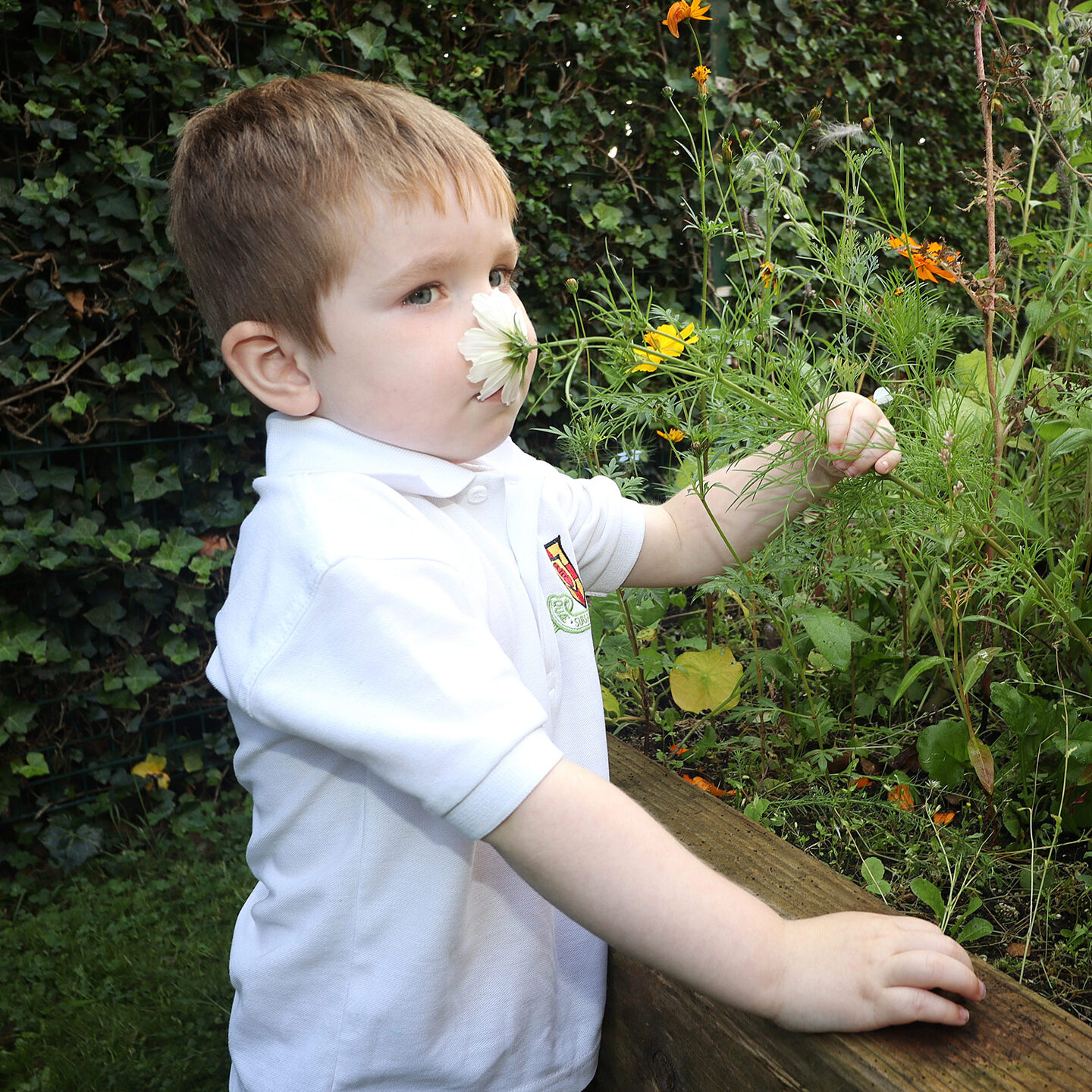 Student sniffing a white flower