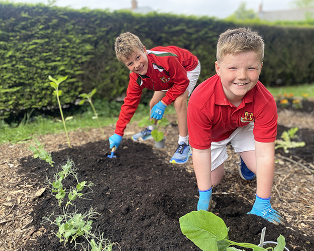 Students digging in soil